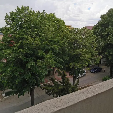 Studio Andrei Apartment *